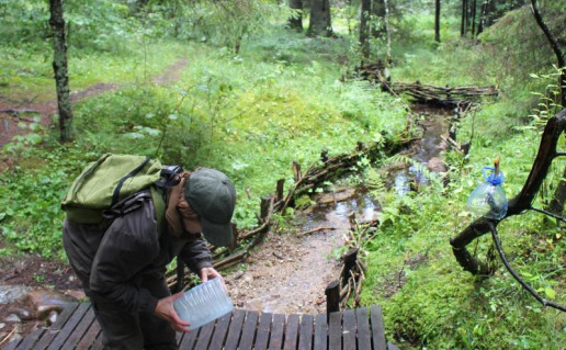 49_Plokstines takas Pilelio saltinio pradzia. G.Sidabrienes n.jpg